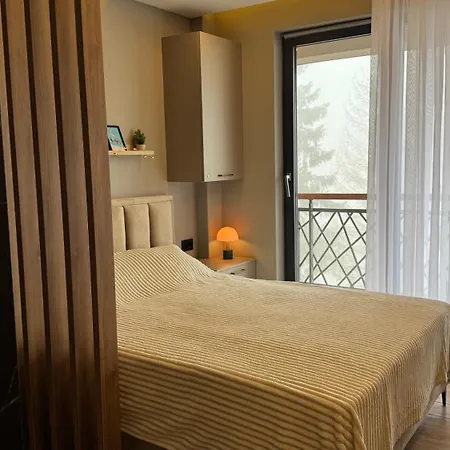 Pine Hill コパオニク